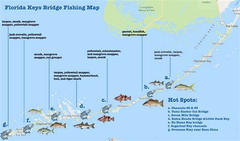 keys bridge fishing map.